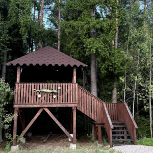 DRIEŽIUKO PAVĖSINĖ