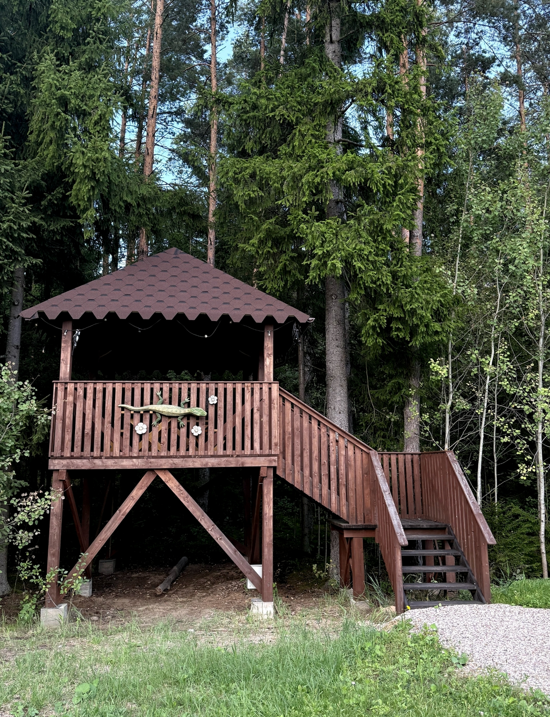 DRIEŽIUKO PAVĖSINĖ