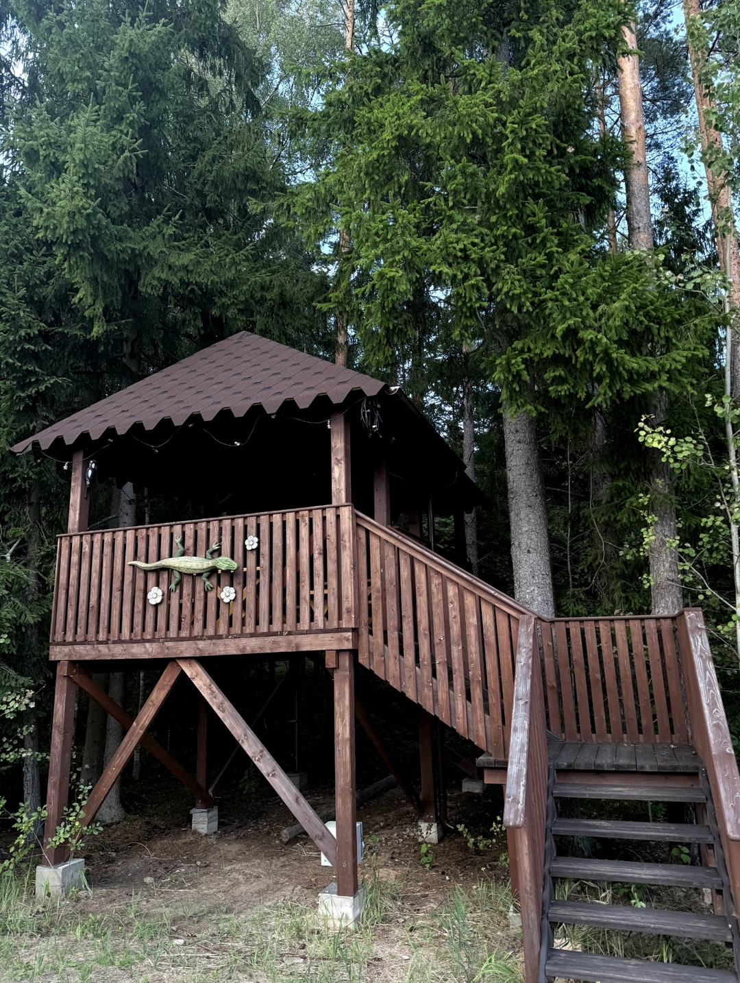 DRIEŽIUKO PAVĖSINĖ - Image 2